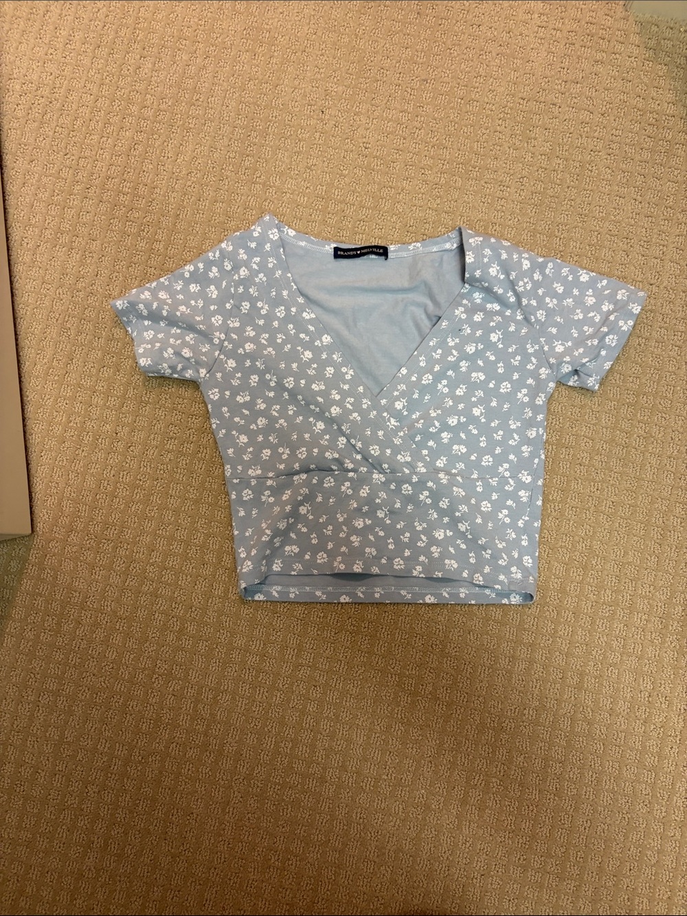 Brandy Melville Light Blue Floral Wrap Crop Top